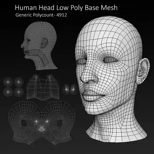 Male head low poly base mesh