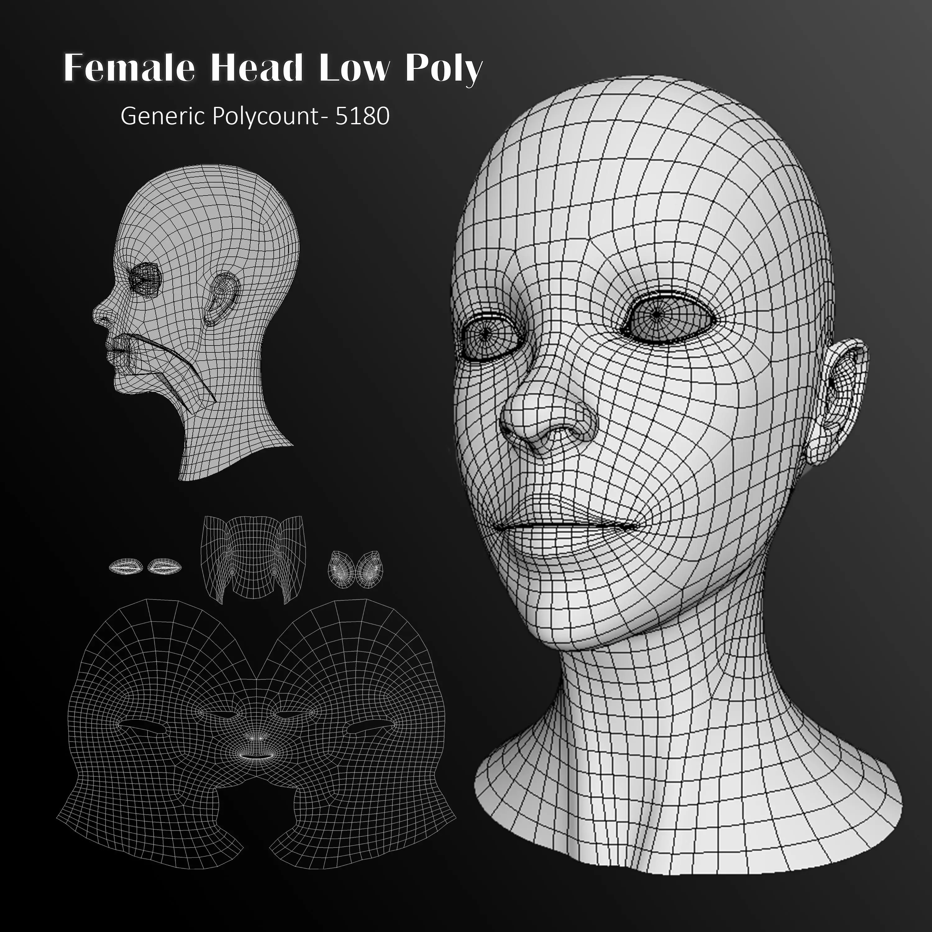 Human Female Head Low Poly Base Mesh Low-poly 3D model