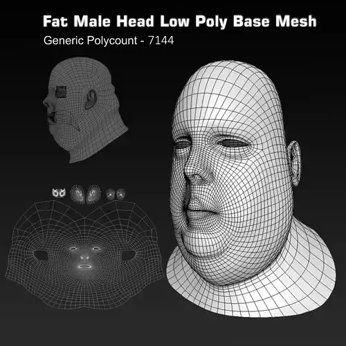 Human Head Fat Male Low Poly Base Mesh