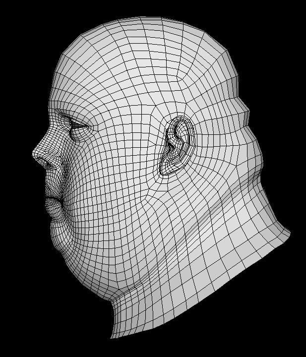 Human Head Fat Male Low Poly Base Mesh Low-poly 3D model_2