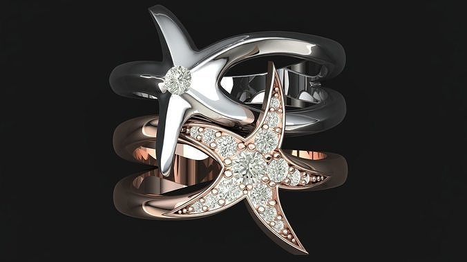  Two Star Rings 3D print model