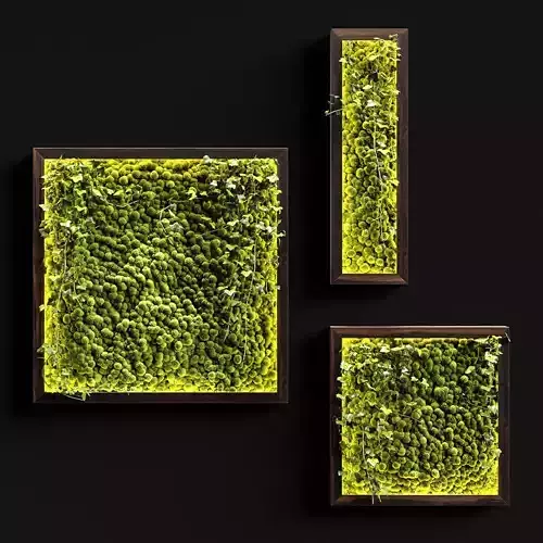 Vertical garden Moss modules 4 3D model