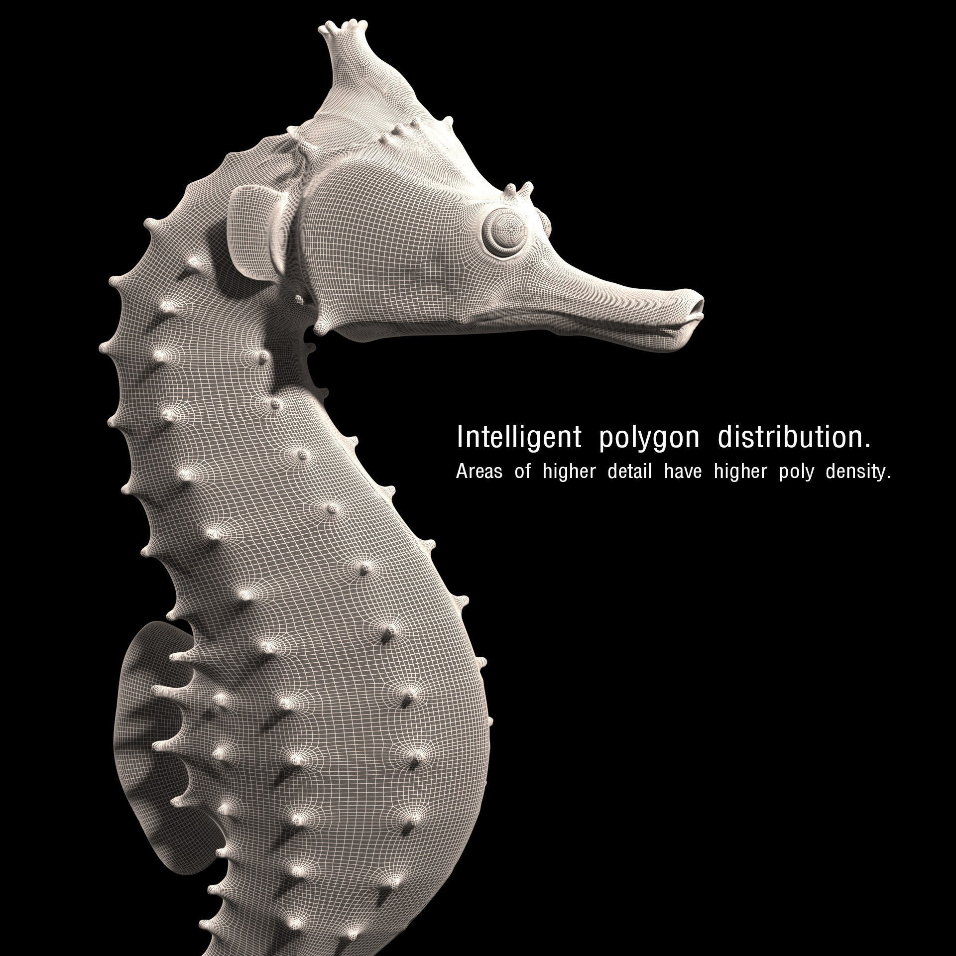 Pacific Seahorse Low-poly 3D model_17