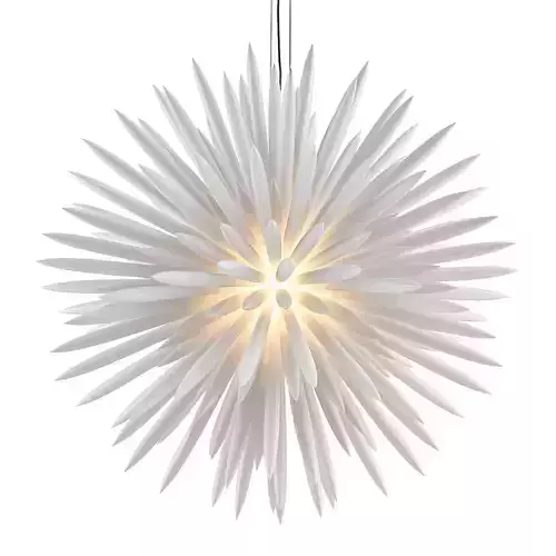 Untitled starburst pendant light