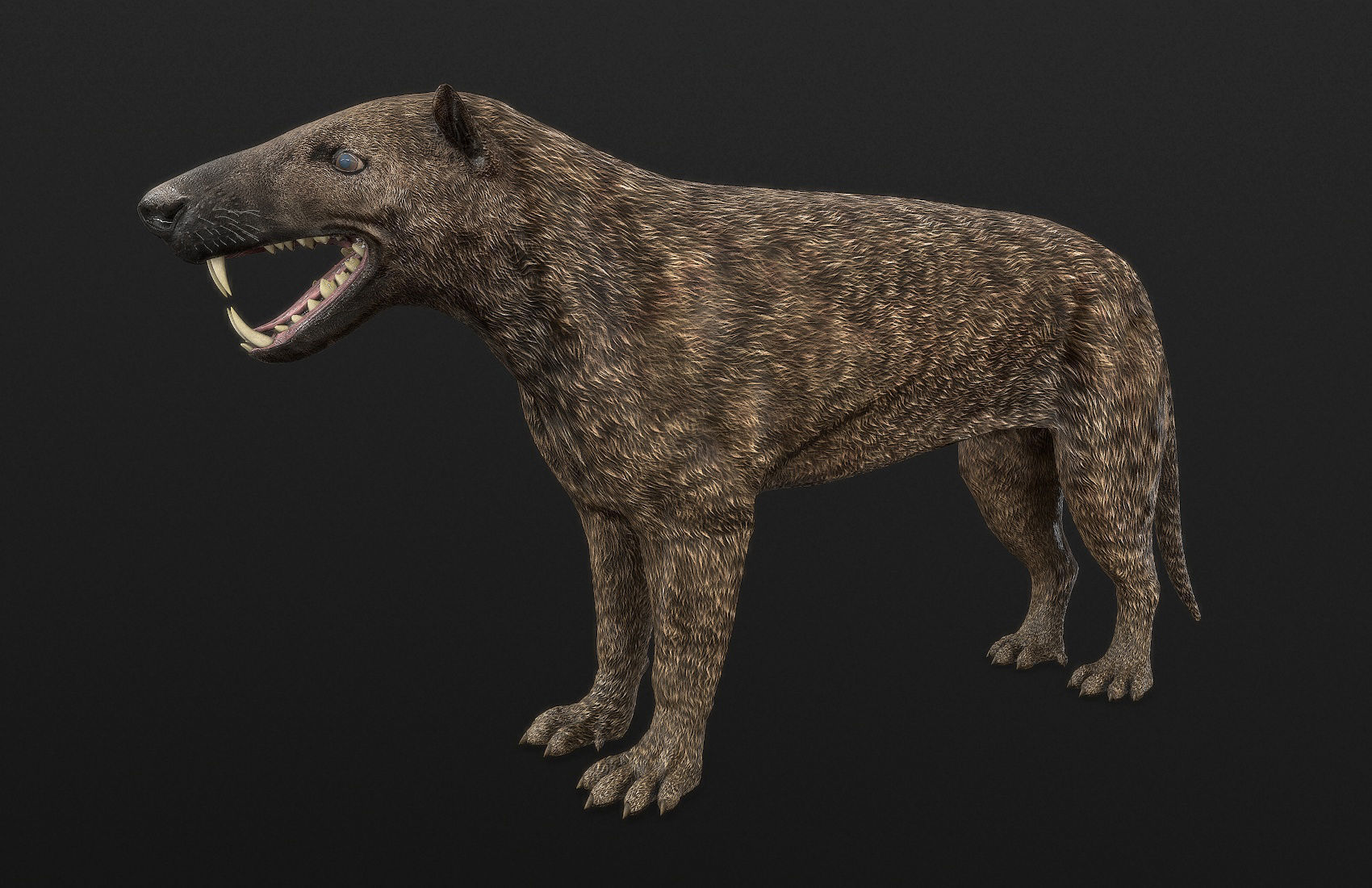Extinct animals pack v5 3D model_22