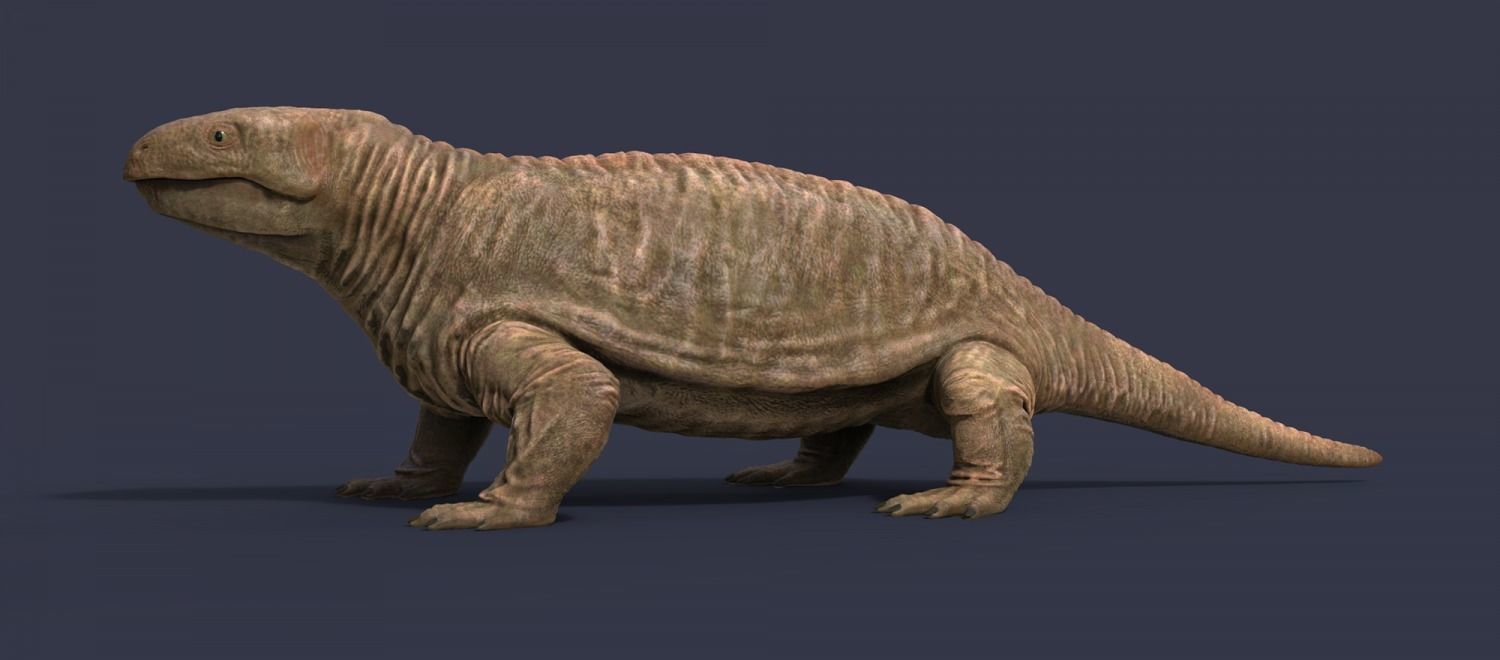 Extinct animals pack v5 3D model_90