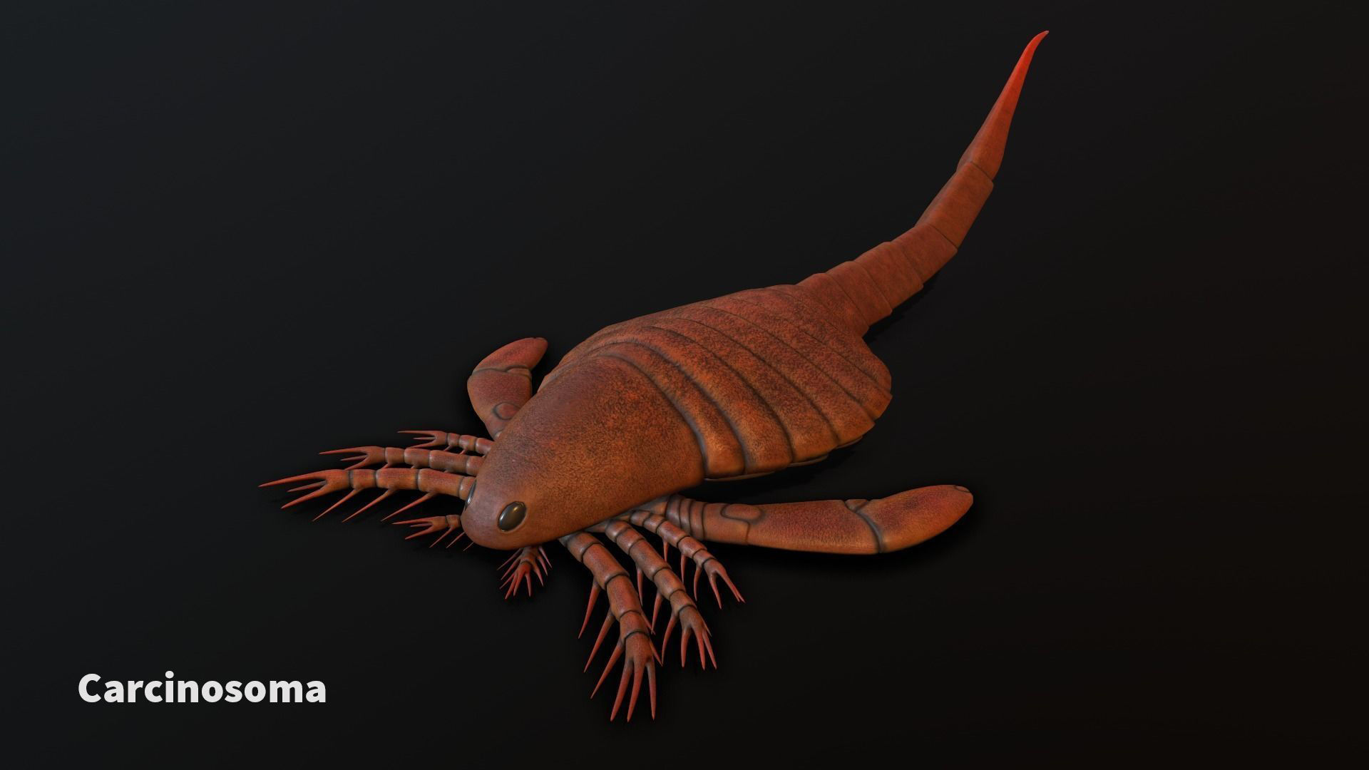 Extinct animals pack v5 3D model_32