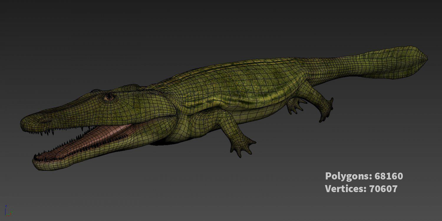 Extinct animals pack v5 3D model_37