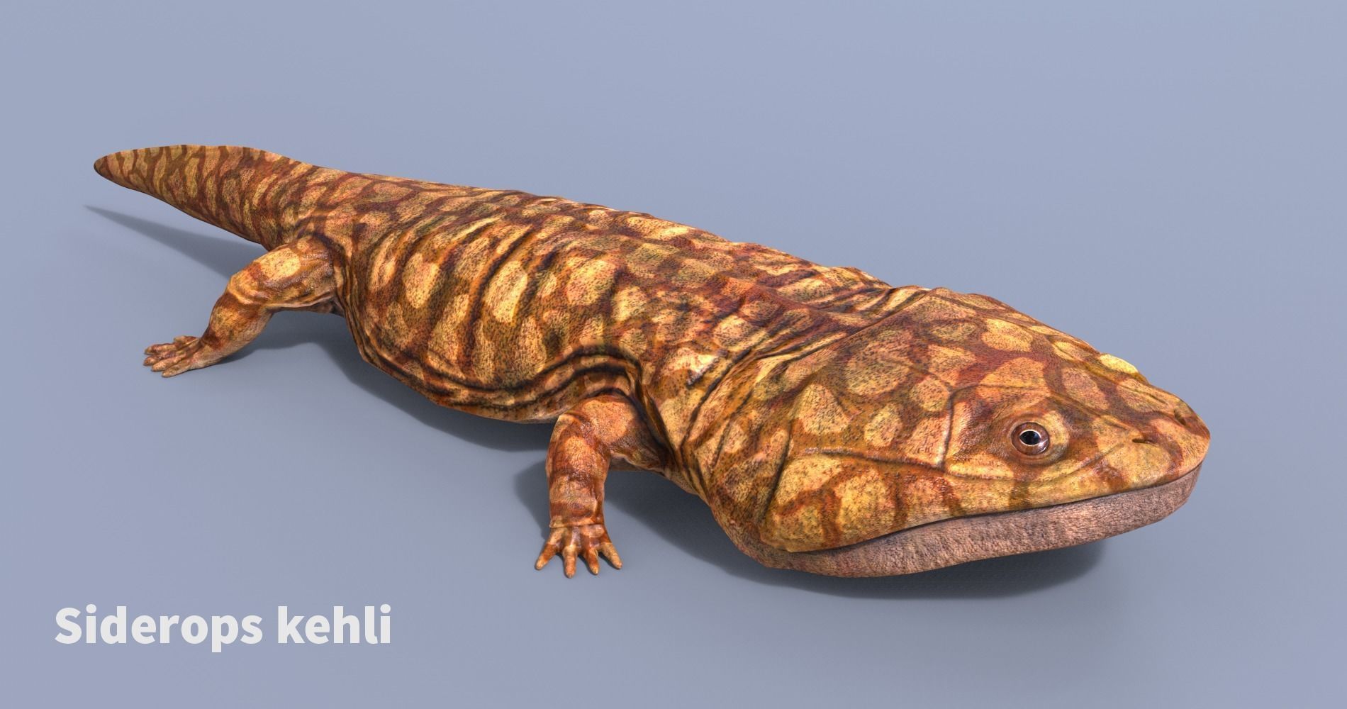 Extinct animals pack v5 3D model_104