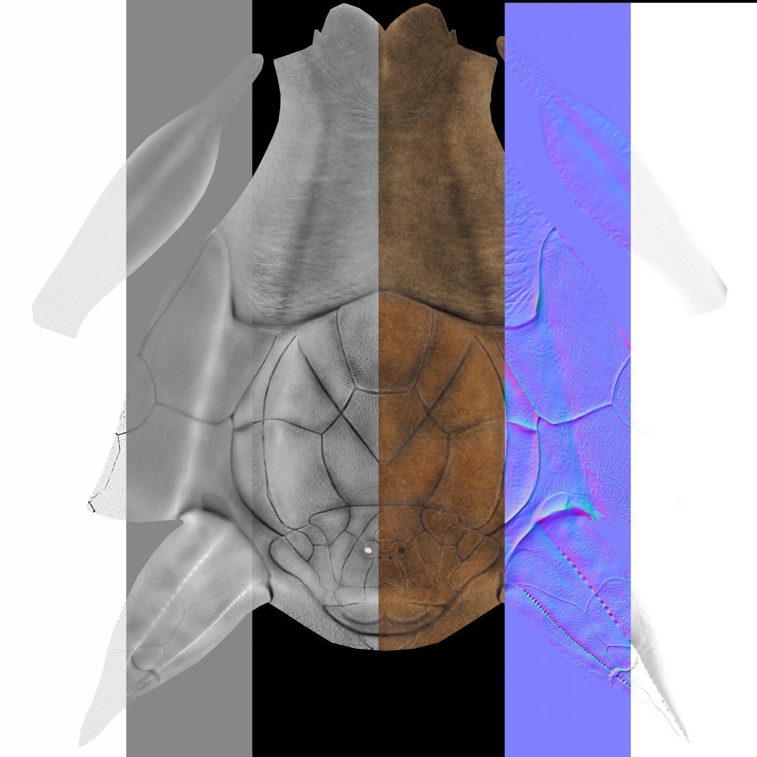 Extinct animals pack v5 3D model_19