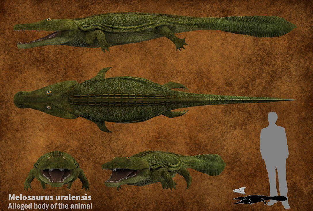 Extinct animals pack v5 3D model_36