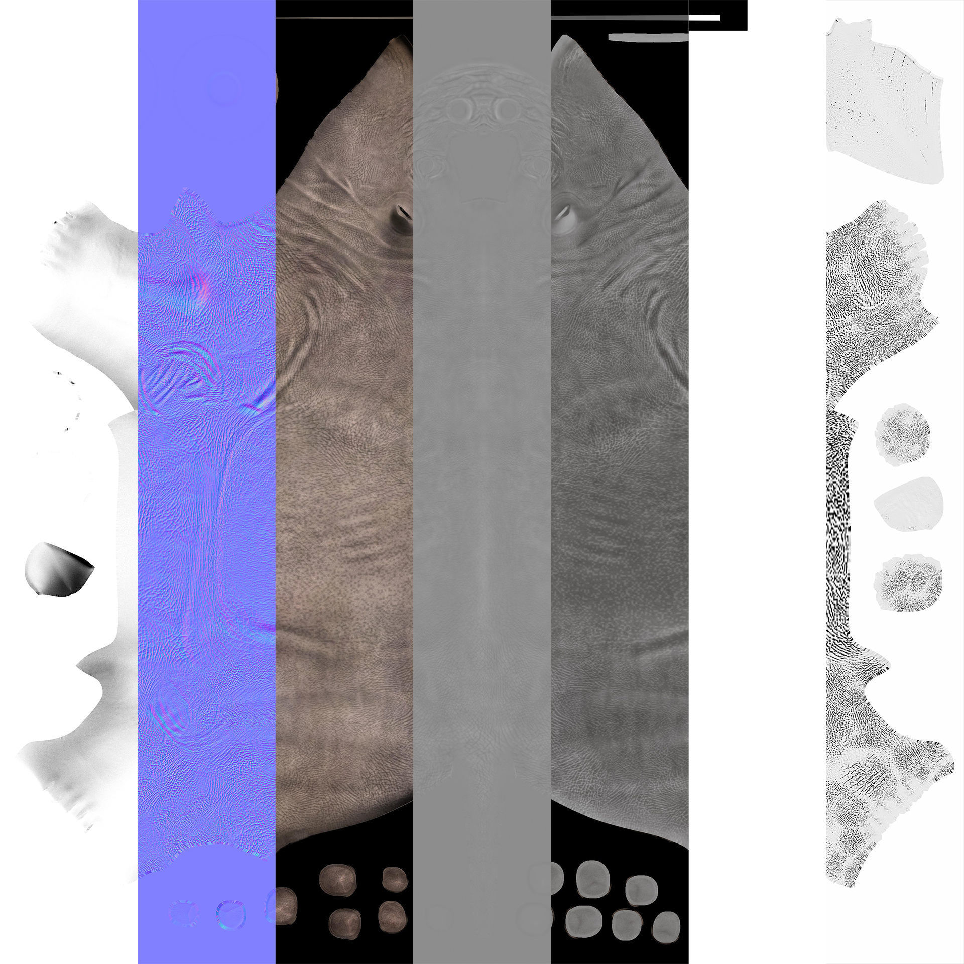 Extinct animals pack v5 3D model_72