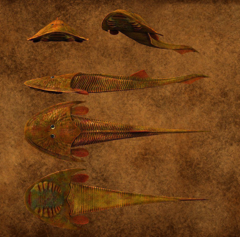 Extinct animals pack v5 3D model_95