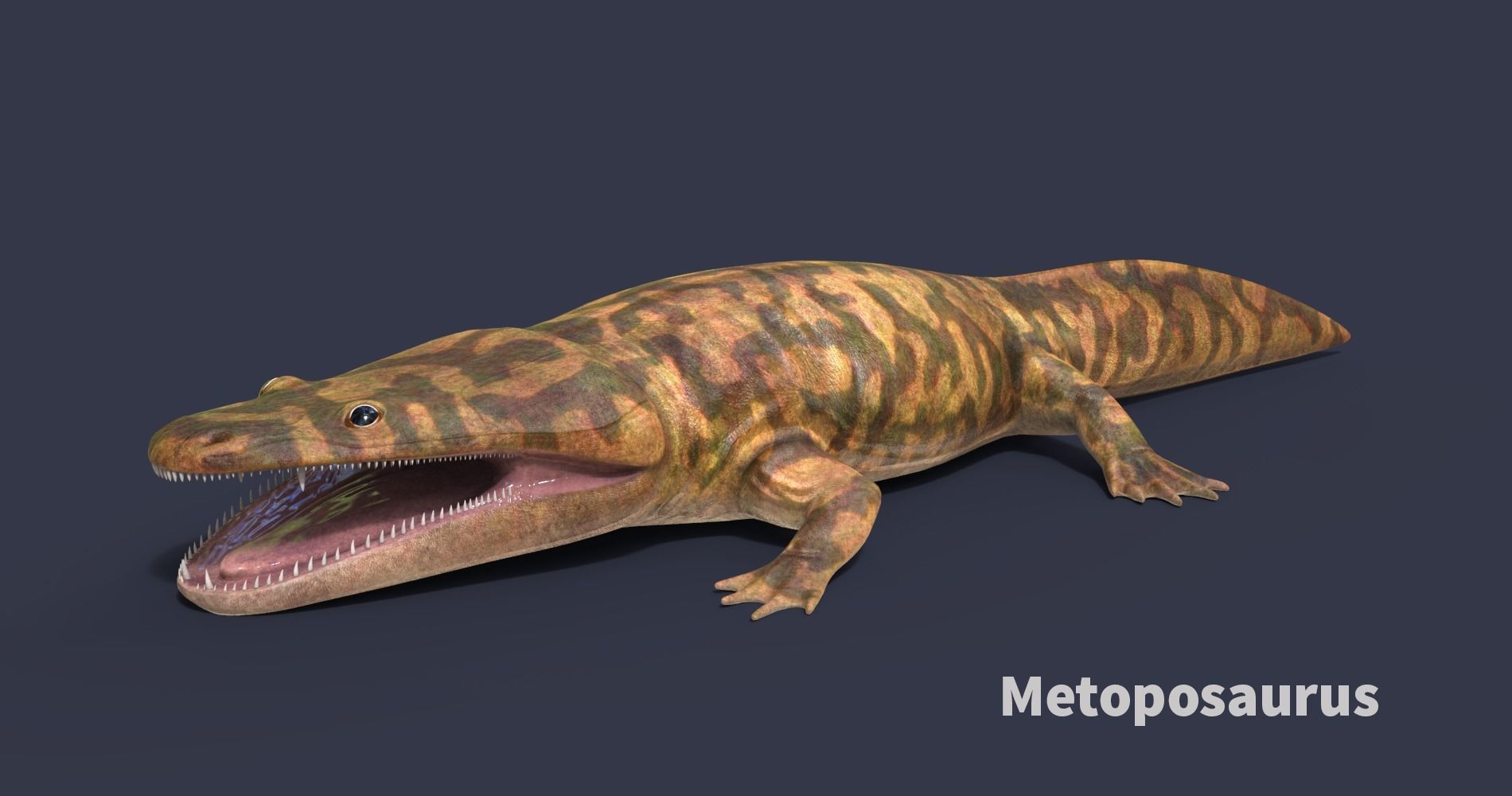 Extinct animals pack v5 3D model_98