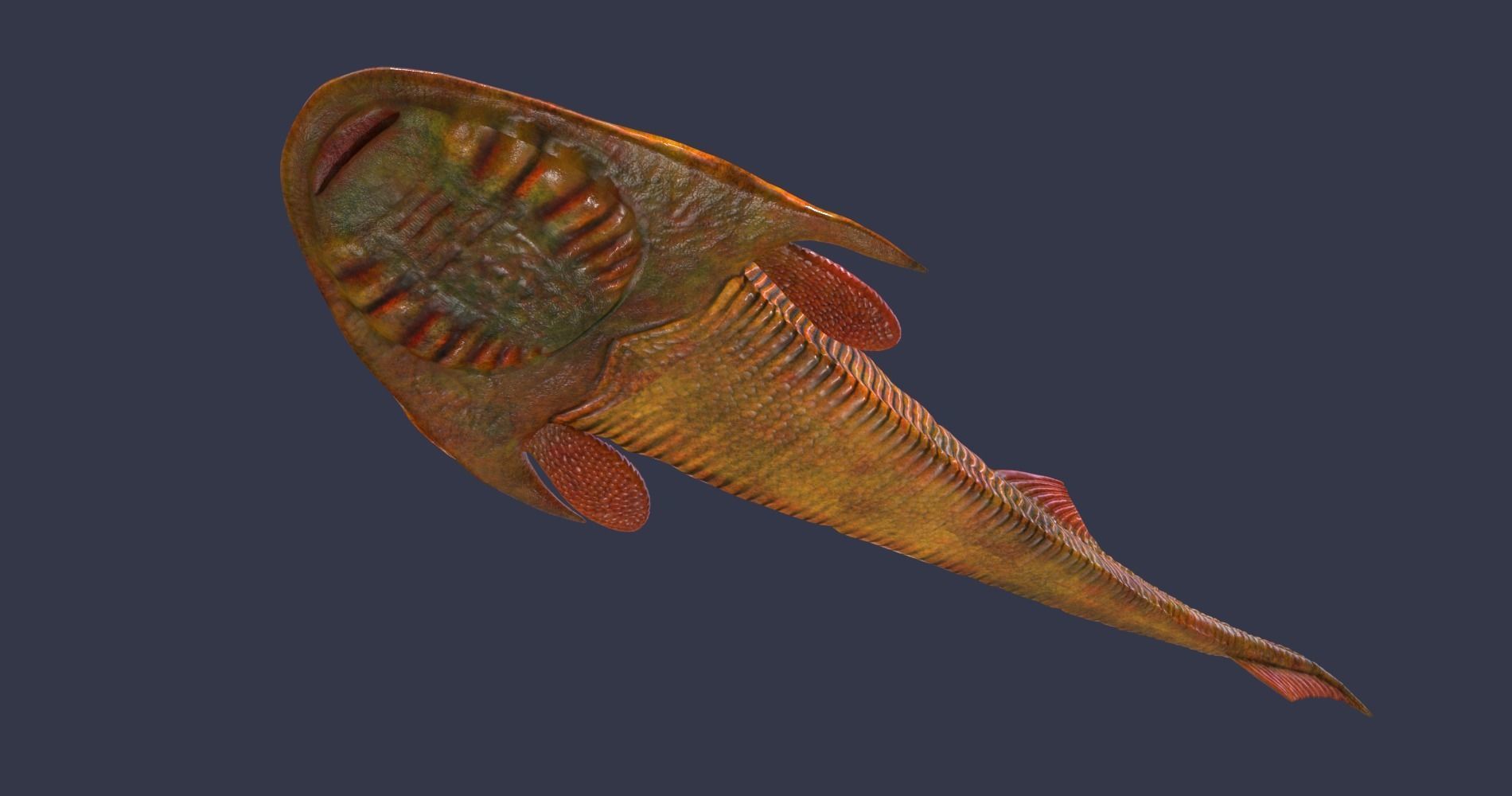 Extinct animals pack v5 3D model_84