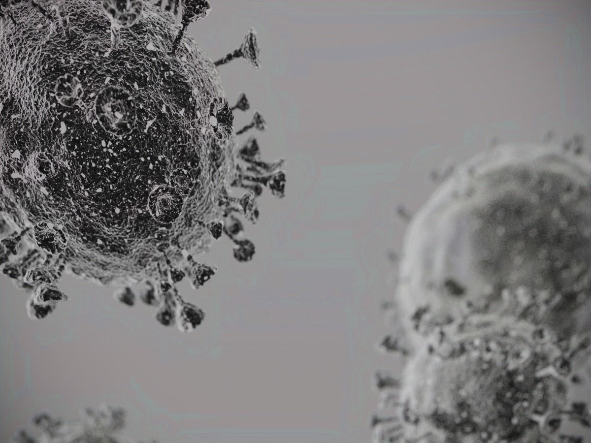 Corono virus 3D model_2