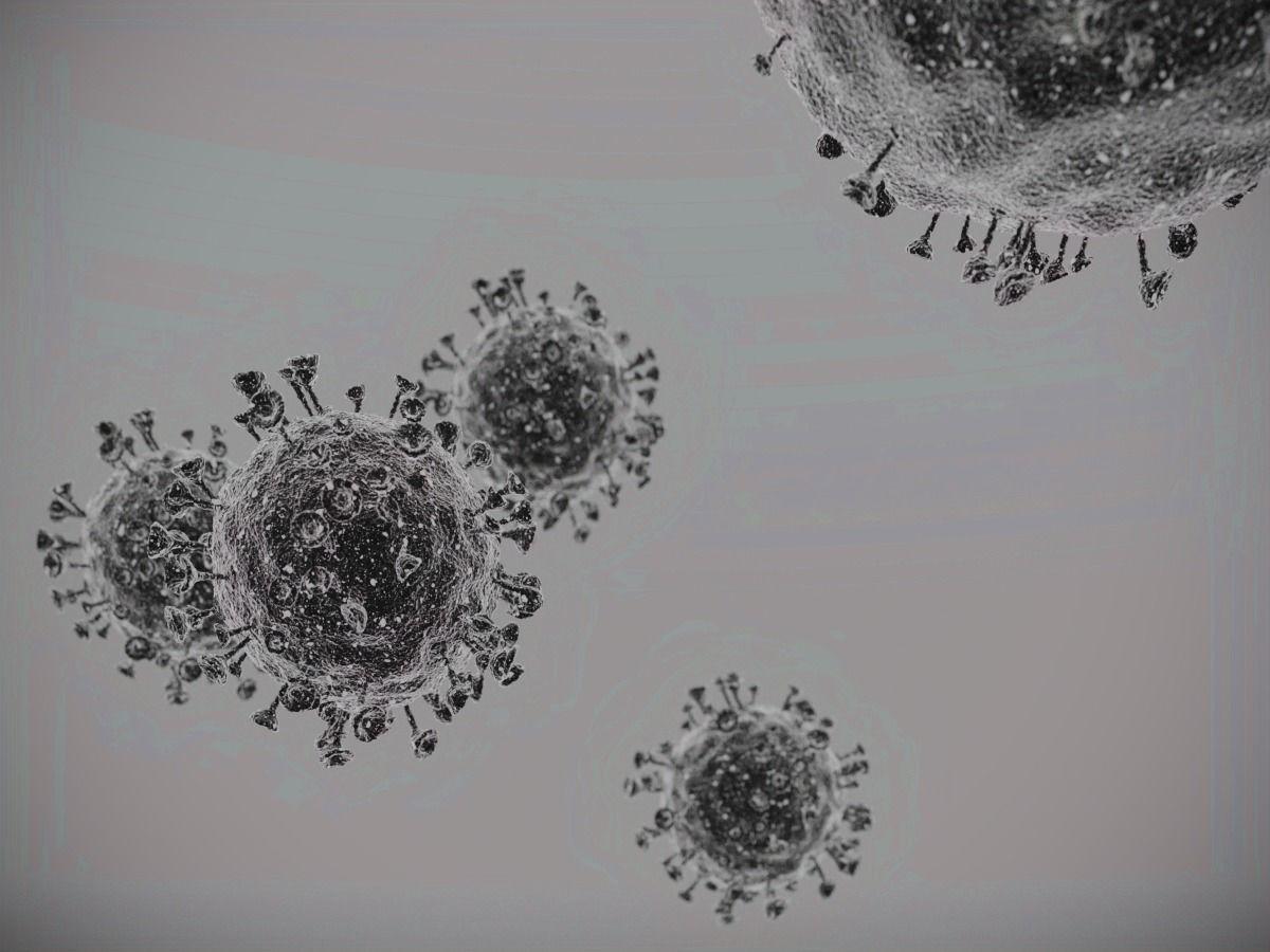 Corono virus 3D model_3