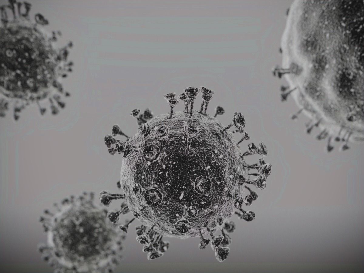 Corono virus 3D model_1