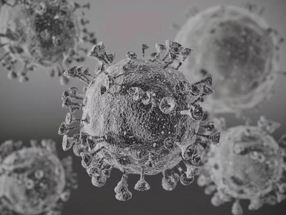 Corono virus 3D model_0