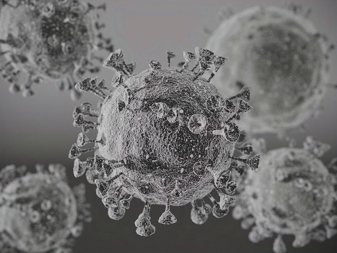 Corono virus 3D model