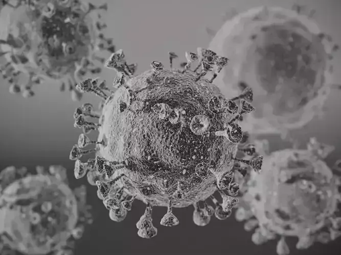 Corono virus 3D model