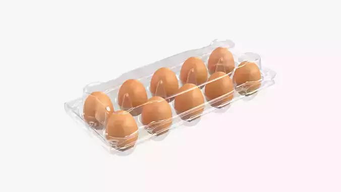 Egg food plastic package 10 eggs v2