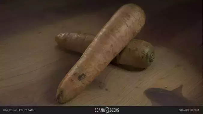 Carrot - Photogrammetry Asset 3D PhotoScan 3D model