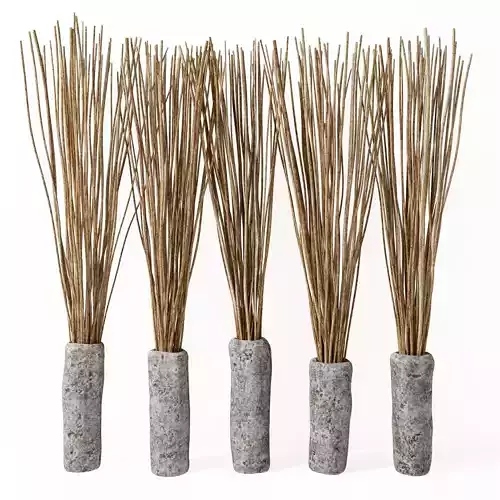 Branch thin in vase stone old