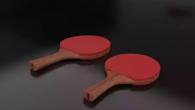 Ping Pong Paddle