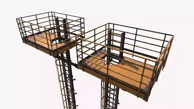 scaffold ladder