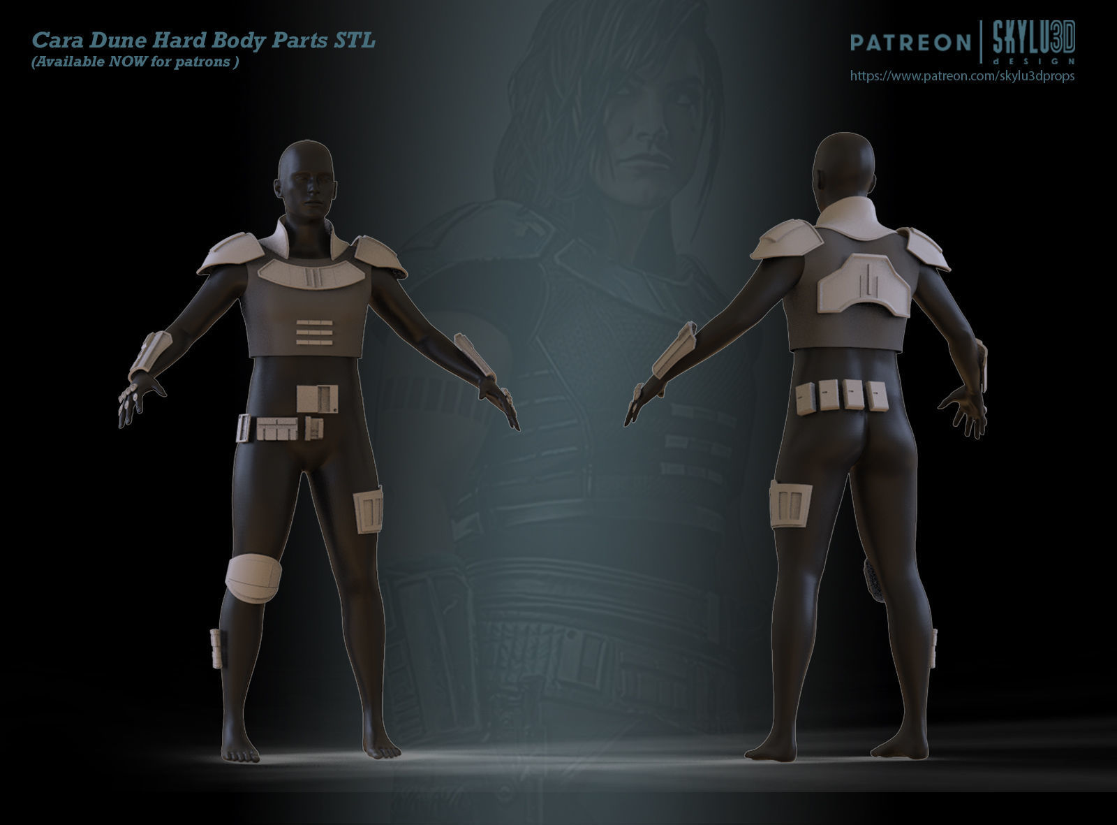 Cara Dune Body Hard Armor Print ready STL 3D print model_1