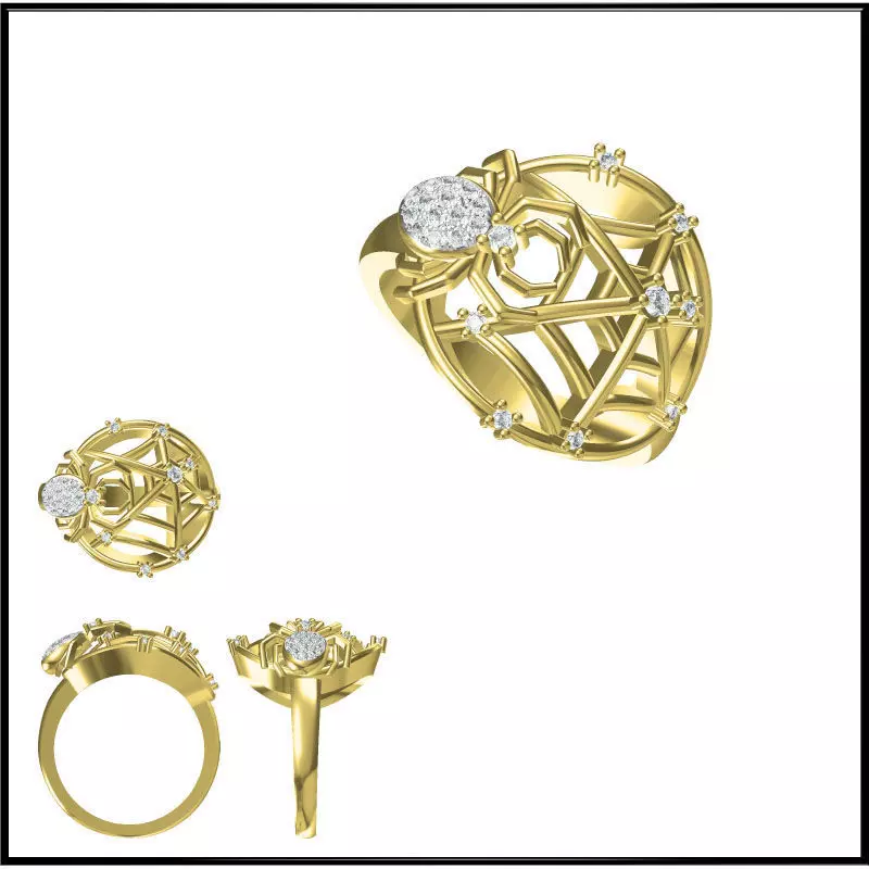 JCD Format Special rings for women cad special ring 3D print model