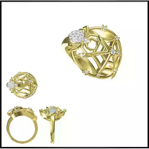 JCD Format Special rings for women cad special ring