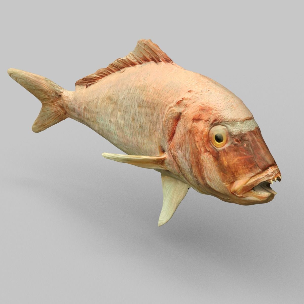 Prehistoric Fish Low-poly 3D model_0
