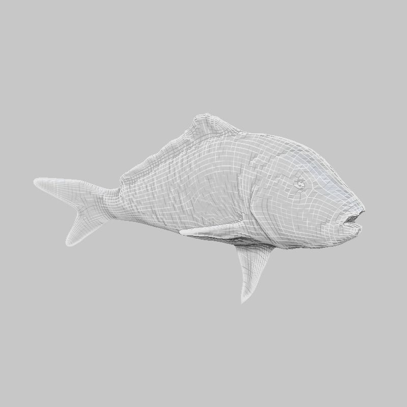 Prehistoric Fish Low-poly 3D model_5