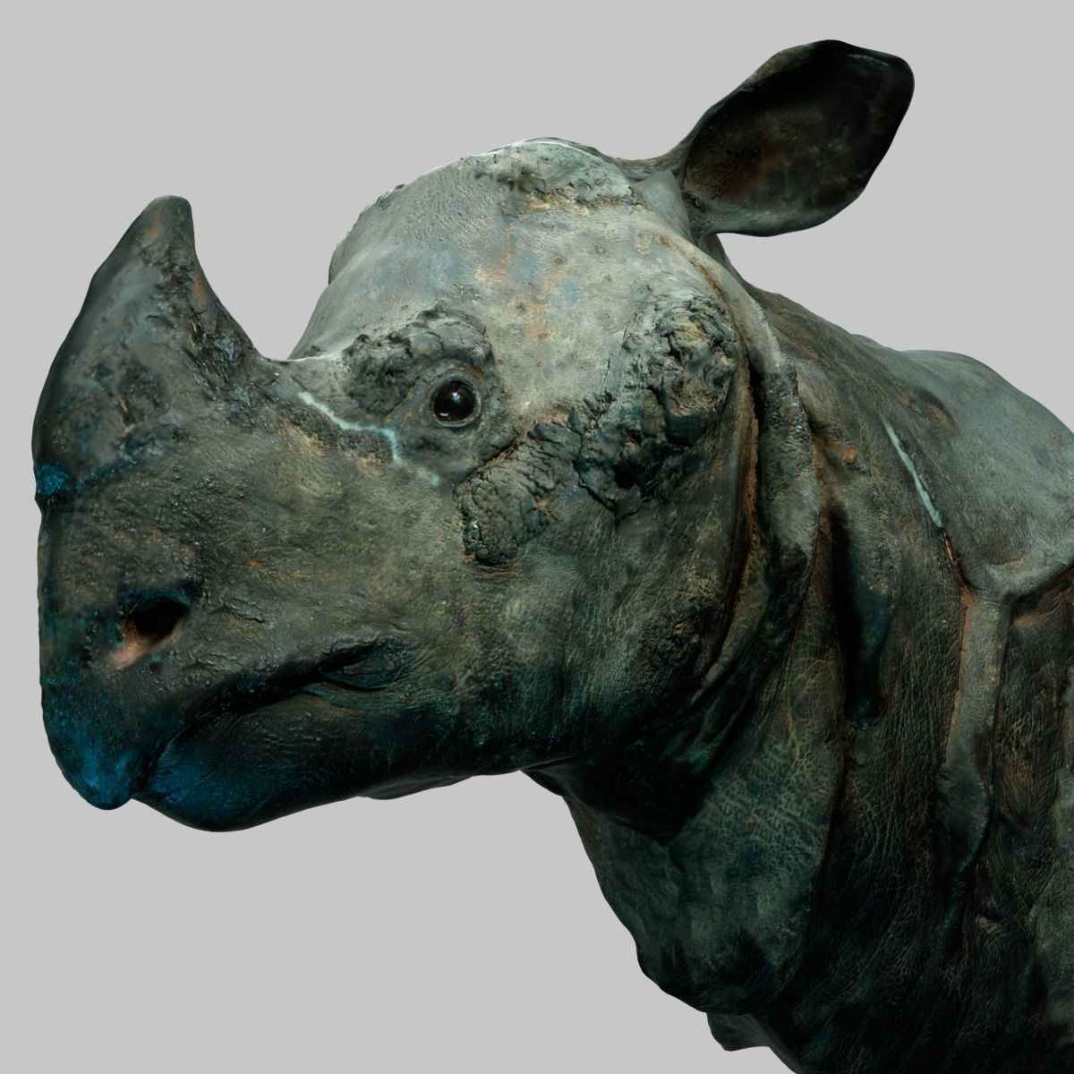 Rhino Head Low-poly 3D model