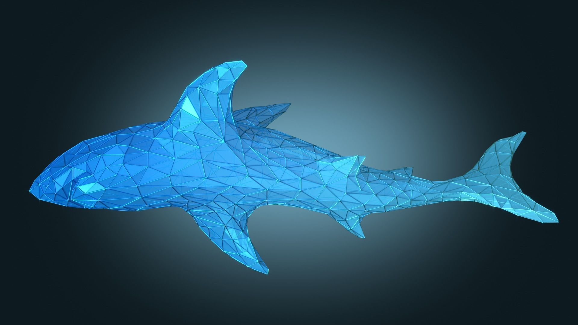 Stylized Shark Figure Low-poly 3D model_4