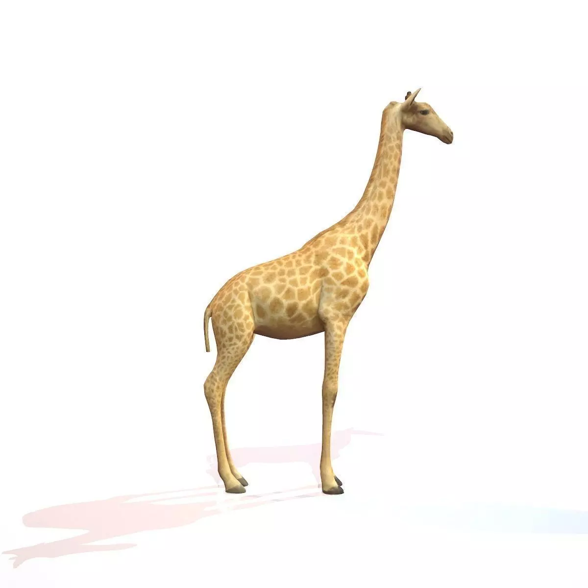 Giraffe Low-poly 3D model_0