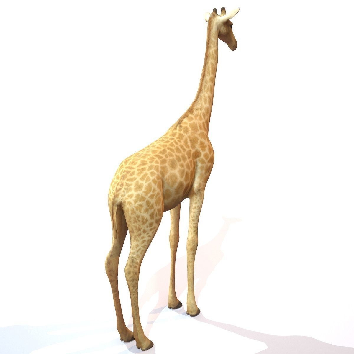 Giraffe Low-poly 3D model_6