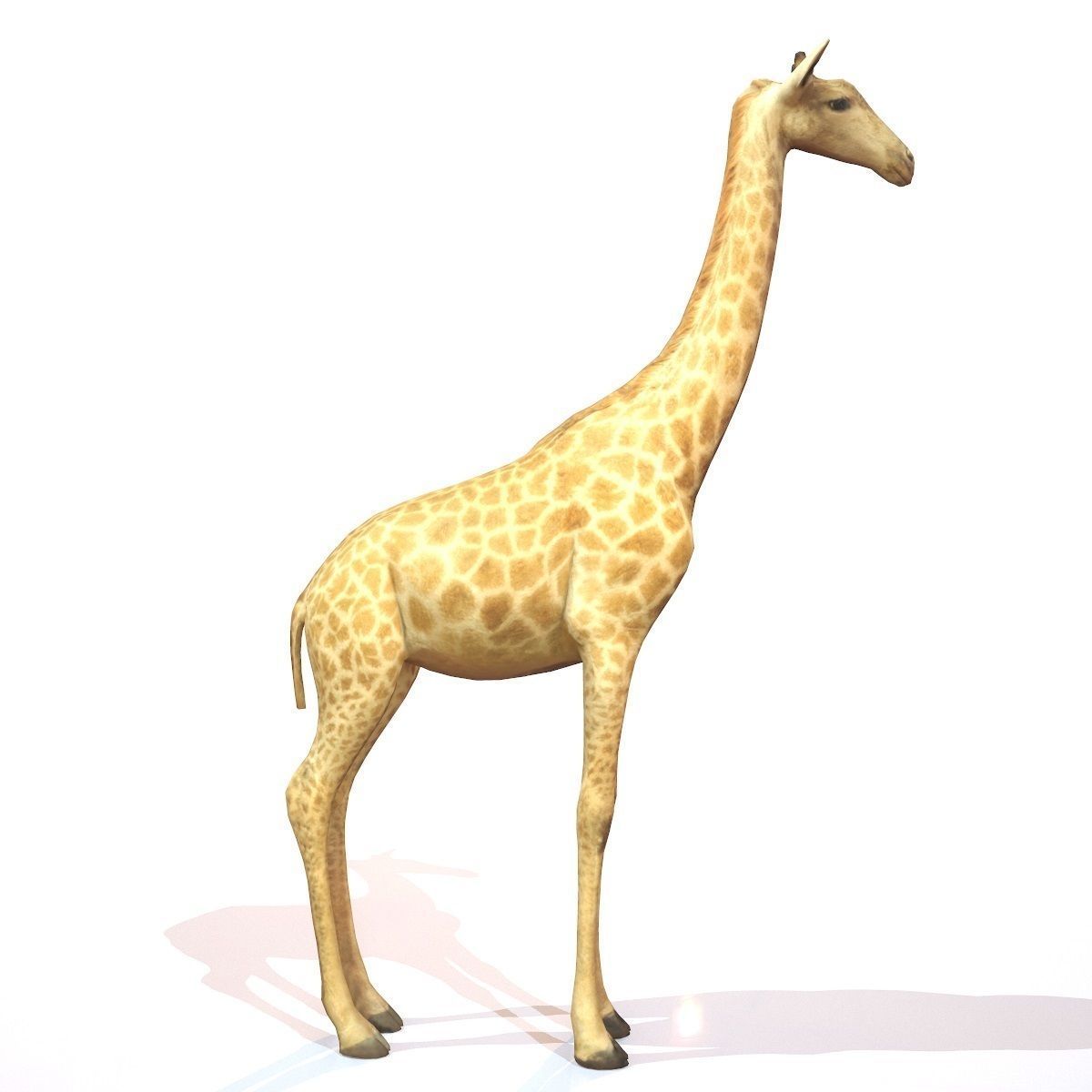 Giraffe Low-poly 3D model_5