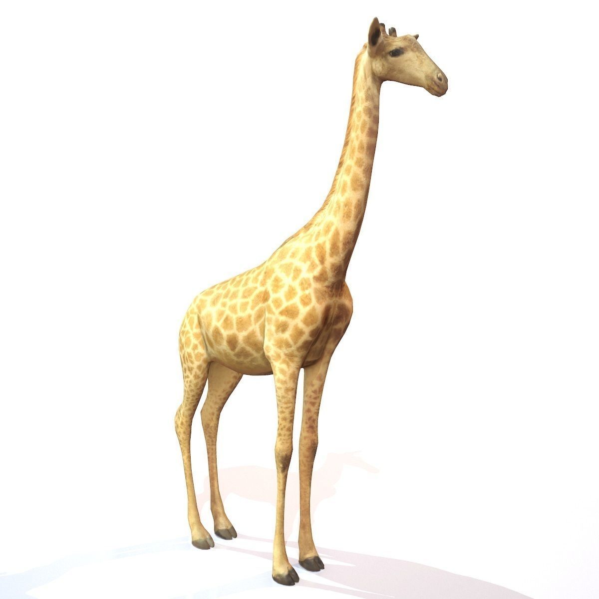 Giraffe Low-poly 3D model_1