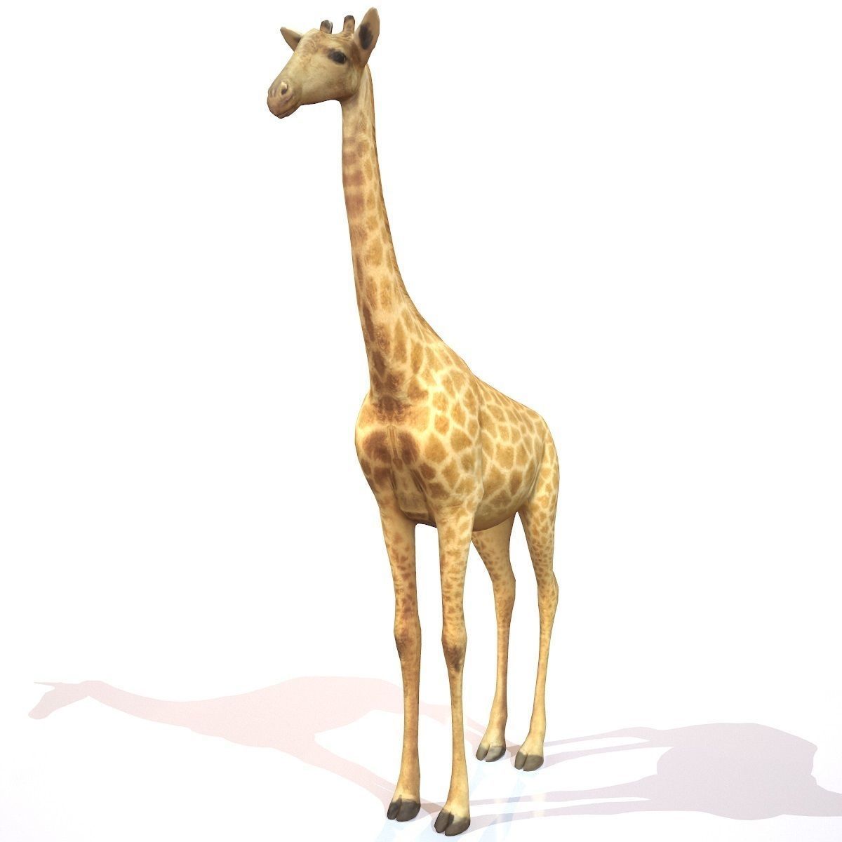 Giraffe Low-poly 3D model_4
