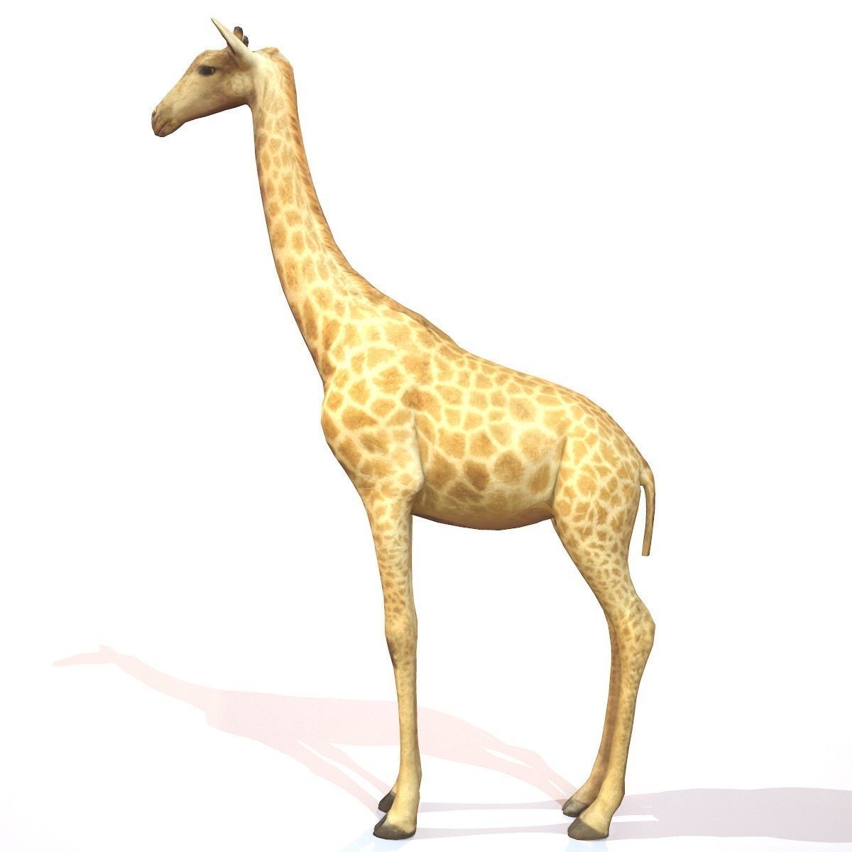Giraffe Low-poly 3D model_2