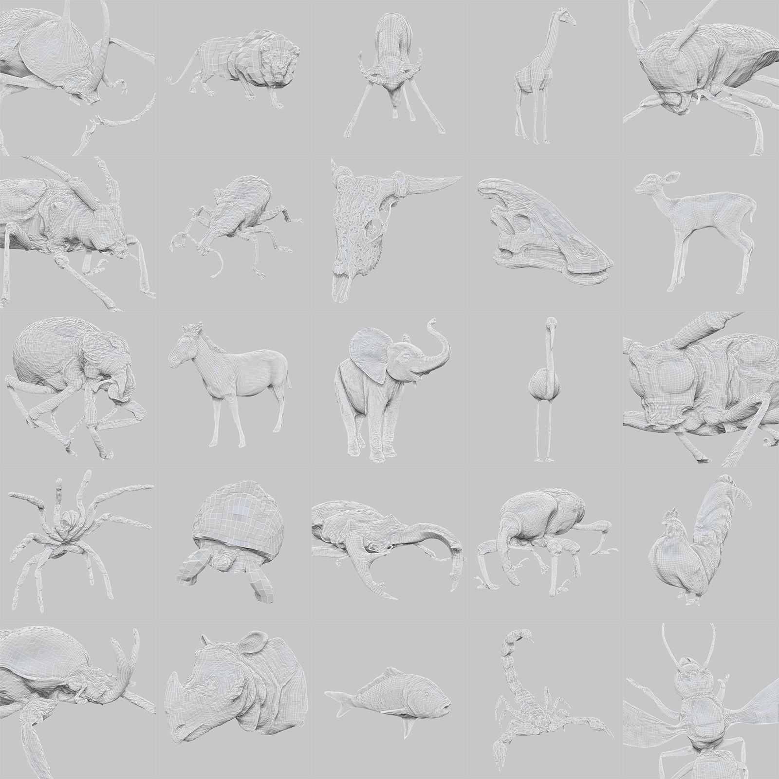 25 Animals - Original Low-poly 3D model_6