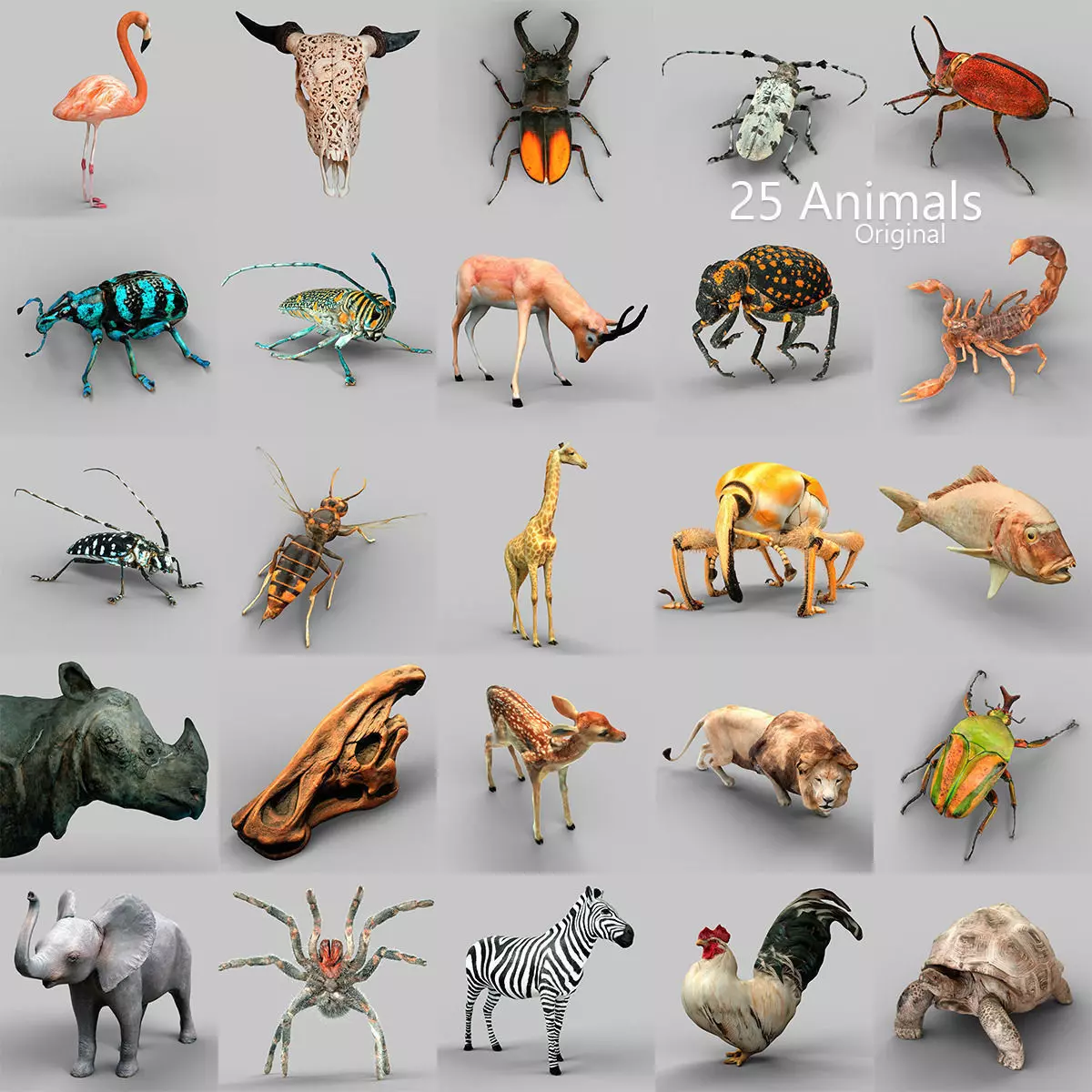 25 Animals - Original Low-poly 3D model_0