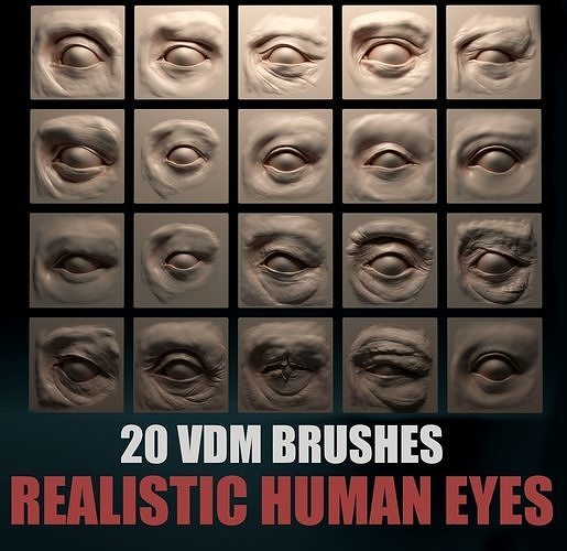 HUMAN EYES 20 VDM Brushes 3D model
