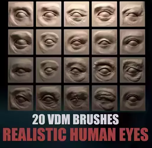 HUMAN EYES 20 VDM Brushes 3D model