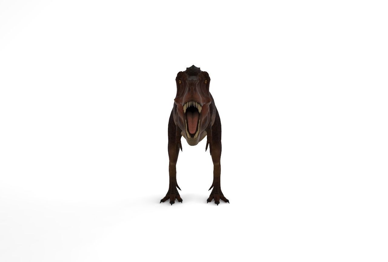 trex Dinosaur Low-poly 3D model_5