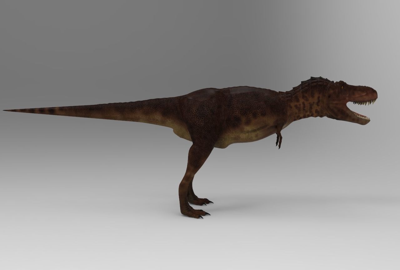 trex Dinosaur Low-poly 3D model_3
