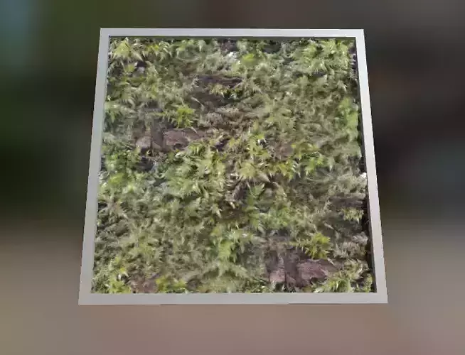 Foam on Wood PBR Texture